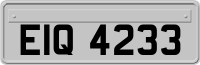 EIQ4233