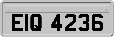 EIQ4236