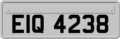 EIQ4238