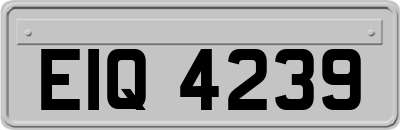 EIQ4239