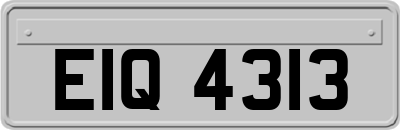 EIQ4313