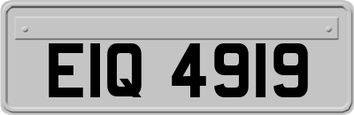 EIQ4919
