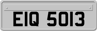 EIQ5013