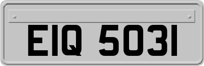 EIQ5031