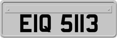 EIQ5113