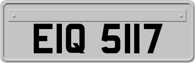 EIQ5117