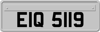 EIQ5119