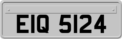 EIQ5124