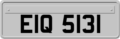EIQ5131