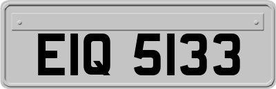 EIQ5133