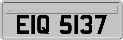 EIQ5137
