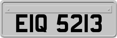EIQ5213