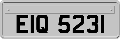 EIQ5231