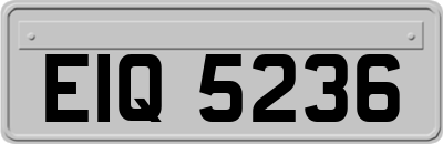 EIQ5236