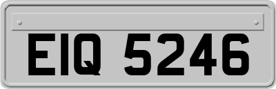 EIQ5246