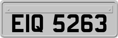EIQ5263
