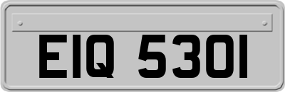 EIQ5301