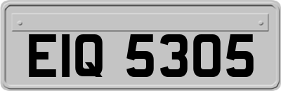 EIQ5305