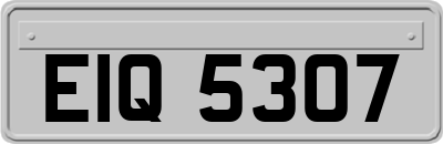 EIQ5307