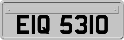 EIQ5310