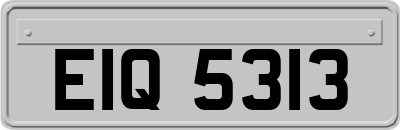 EIQ5313