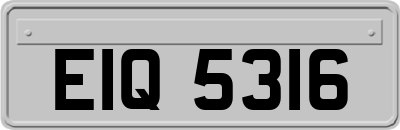 EIQ5316