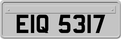 EIQ5317