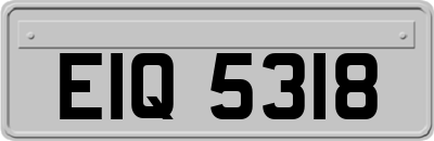 EIQ5318