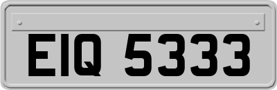 EIQ5333