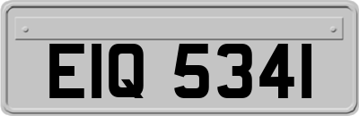 EIQ5341