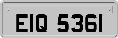 EIQ5361