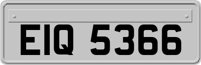 EIQ5366