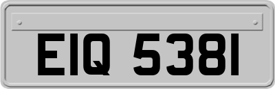 EIQ5381