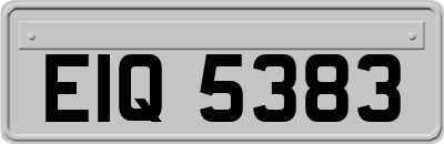 EIQ5383