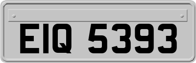 EIQ5393