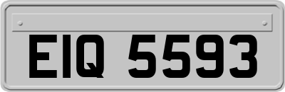 EIQ5593