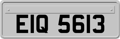 EIQ5613