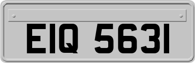 EIQ5631