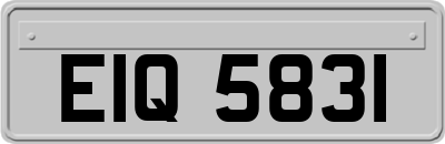 EIQ5831