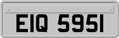 EIQ5951