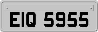 EIQ5955