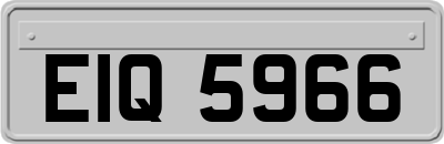 EIQ5966