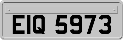 EIQ5973