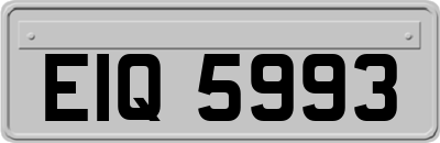 EIQ5993