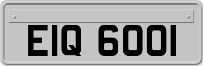 EIQ6001