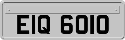 EIQ6010
