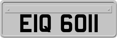 EIQ6011