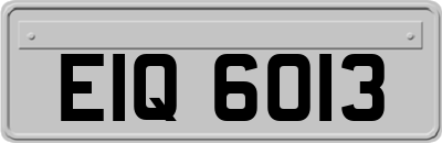 EIQ6013