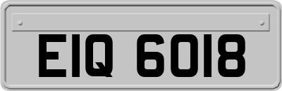 EIQ6018