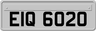 EIQ6020